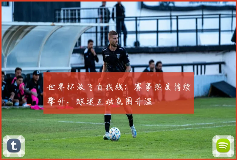 世界杯放飞自我线:赛事热度持续攀升,球迷互动氛围升温