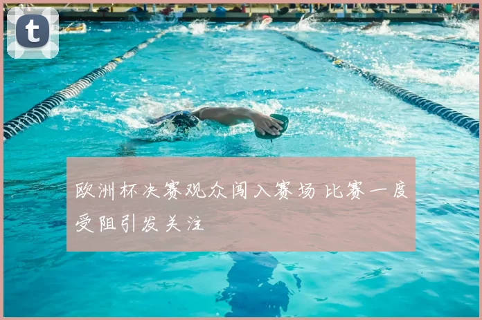 欧洲杯决赛观众闯入赛场 比赛一度受阻引发关注