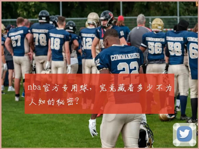 nba官方专用球,究竟藏着多少不为人知的秘密?
