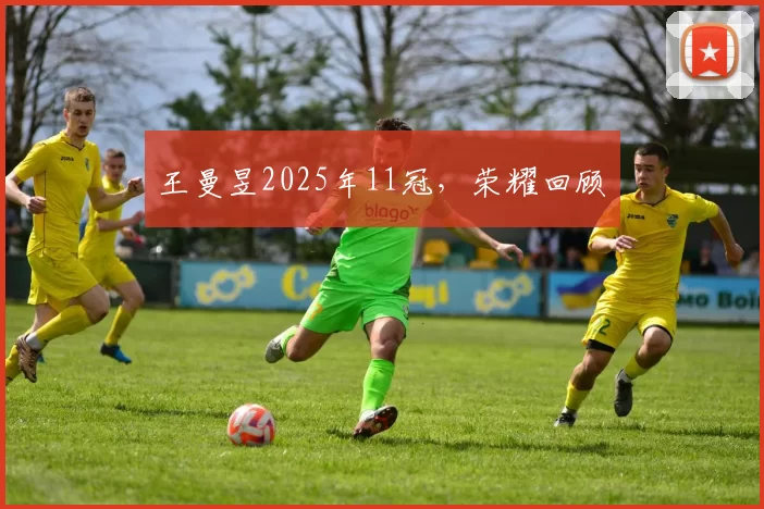 王曼昱2025年11冠,荣耀回顾