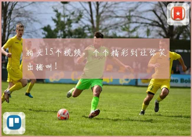 狗头15个视频,个个精彩到让你笑出猪叫!