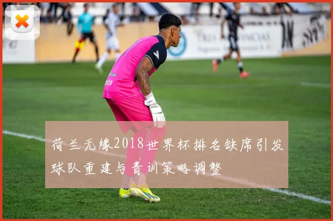 荷兰无缘2018世界杯排名缺席引发球队重建与青训策略调整